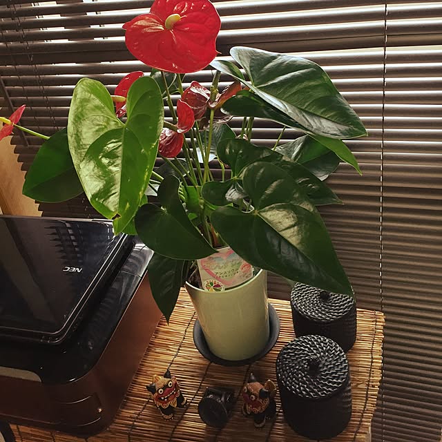 chome_tarouさんの実例写真
