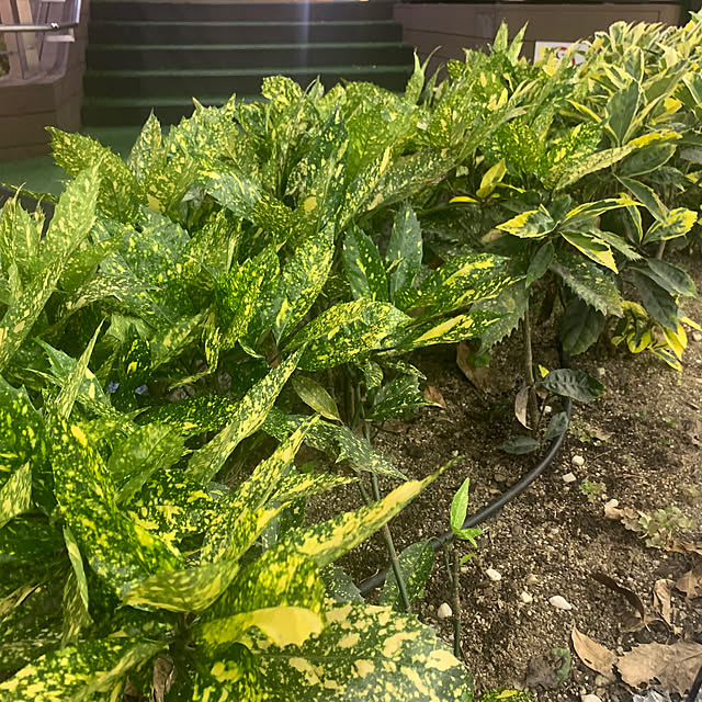 tututu0204さんの部屋