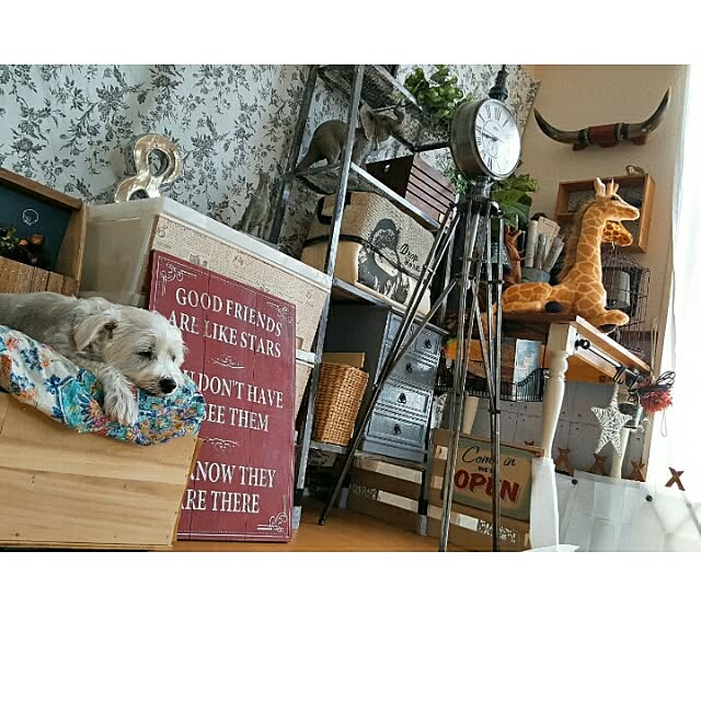 manさんの実例写真