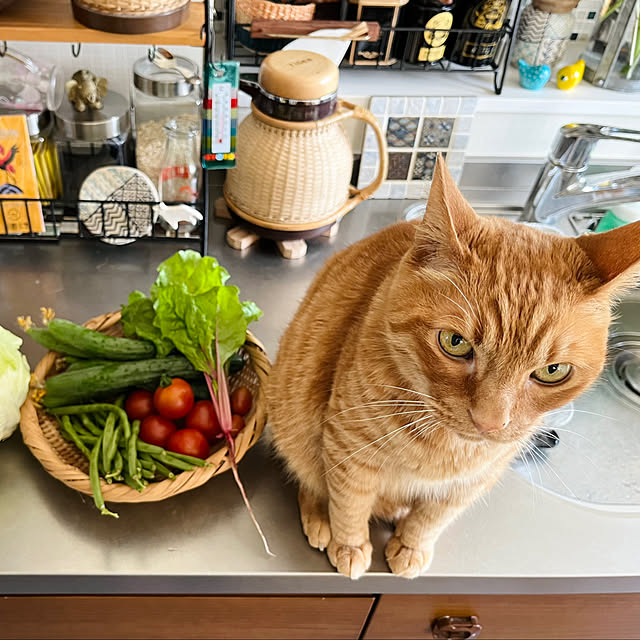 Maruさんの部屋