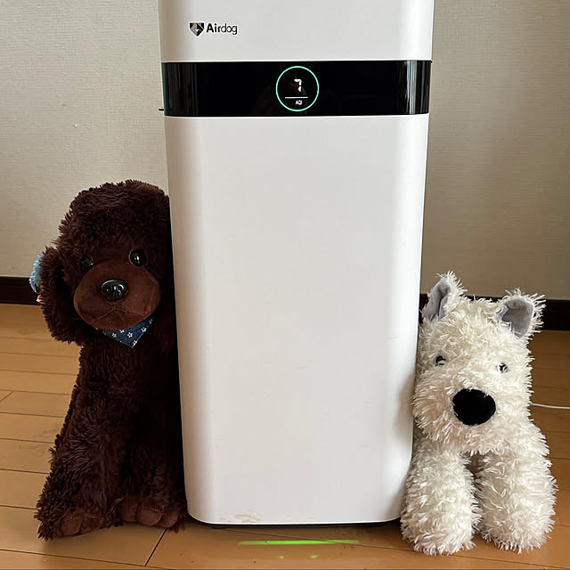 Fyuuuさんの実例写真