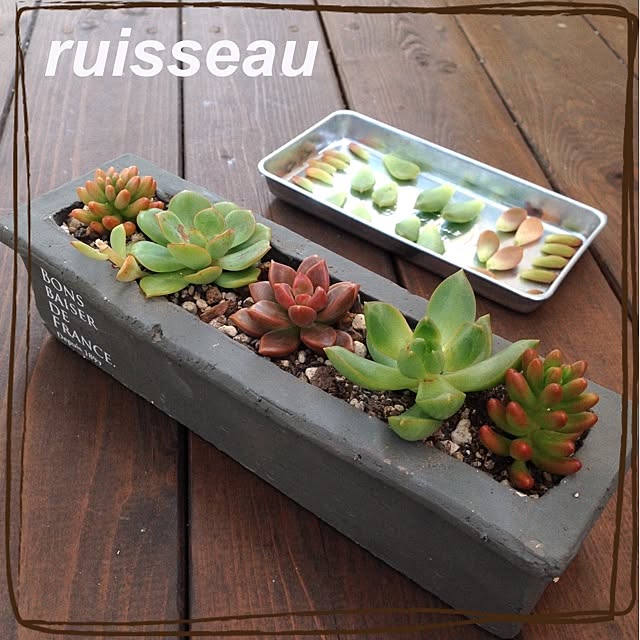 ruisseauさんの実例写真