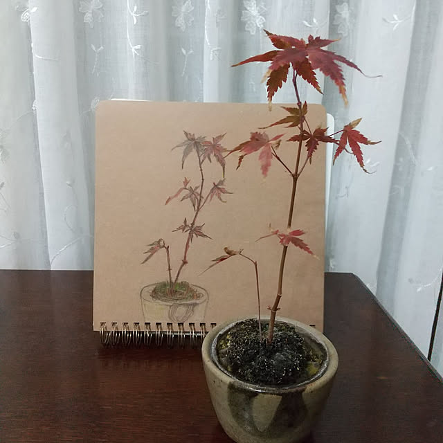 Rさんの実例写真