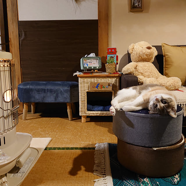 fukuさんの実例写真