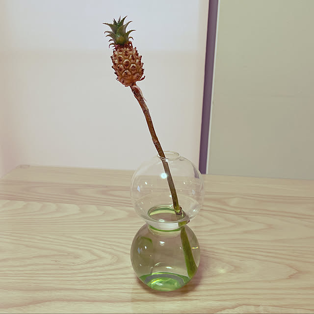 sucoriさんの実例写真