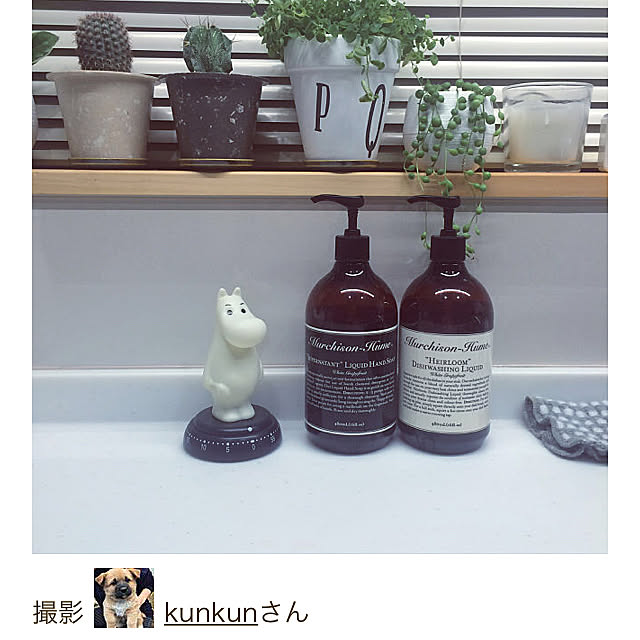 kunkunさんの実例写真