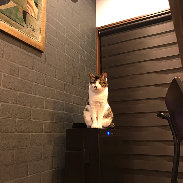 icbさんの実例写真