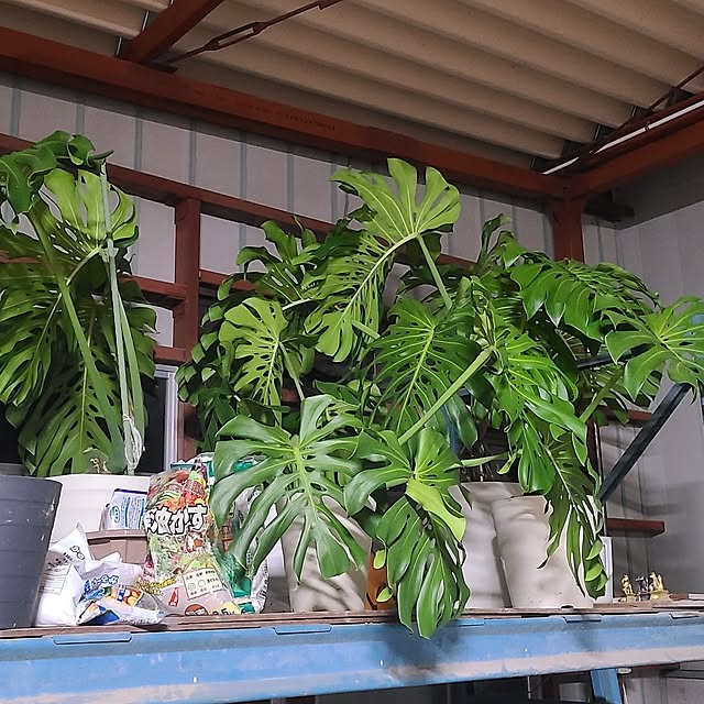 Rubiconさんの部屋