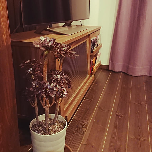 shirokumaさんの実例写真