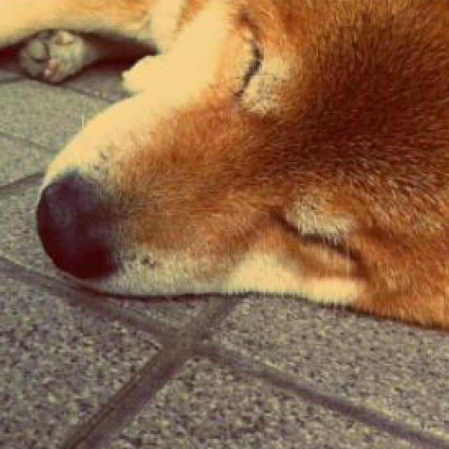 yukiさんの実例写真