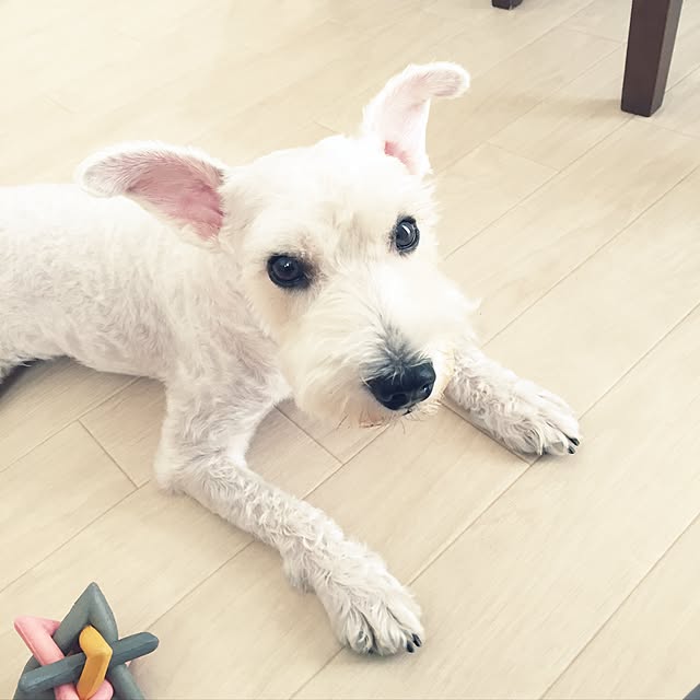naoさんの実例写真