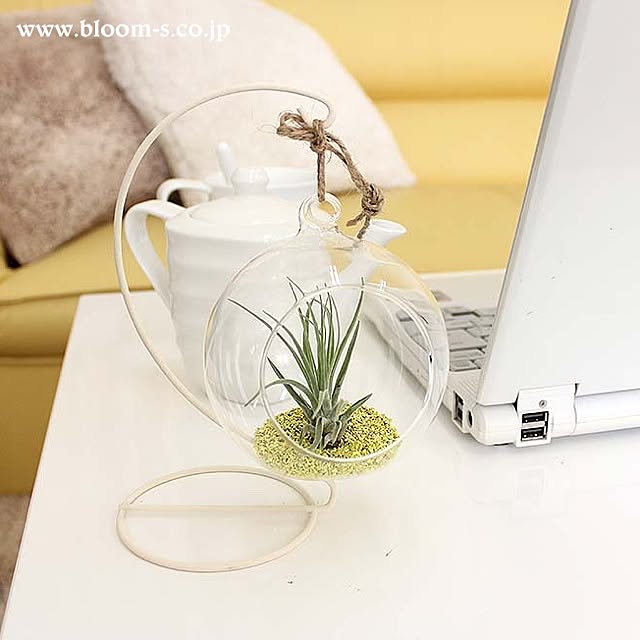 BloomingScapeさんの実例写真