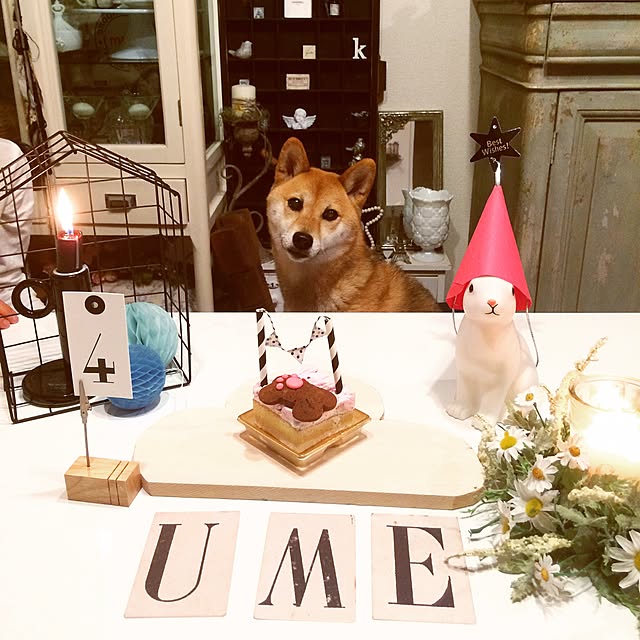 umeさんの実例写真