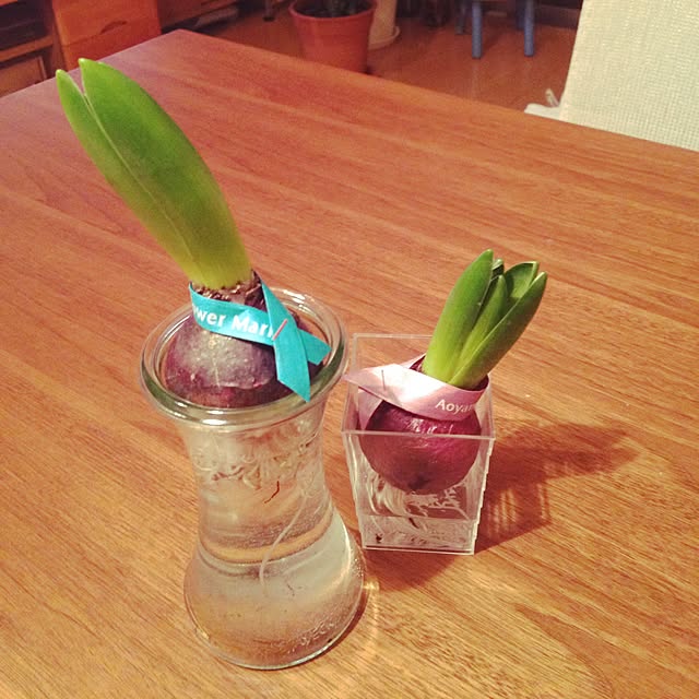 pozminさんの実例写真