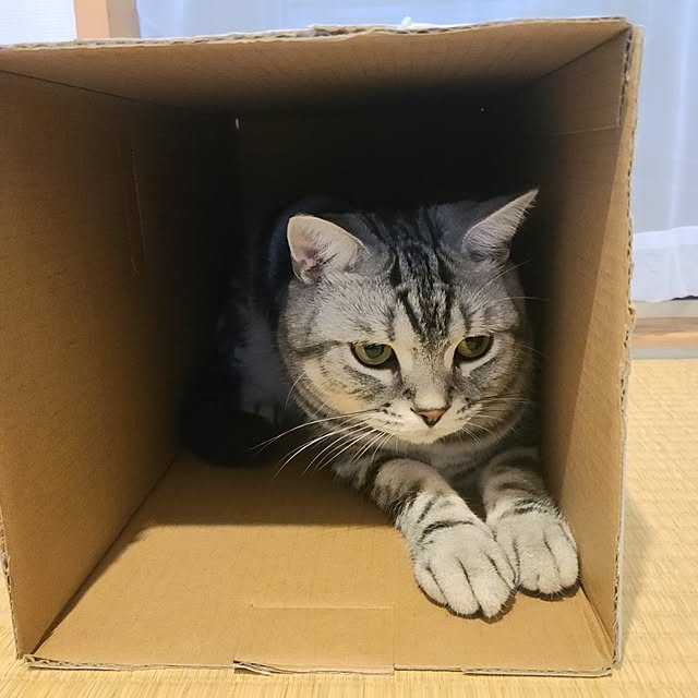 lovepeaceさんの部屋