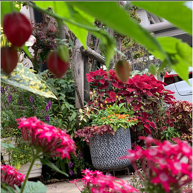 yukarin-gardenさんの実例写真
