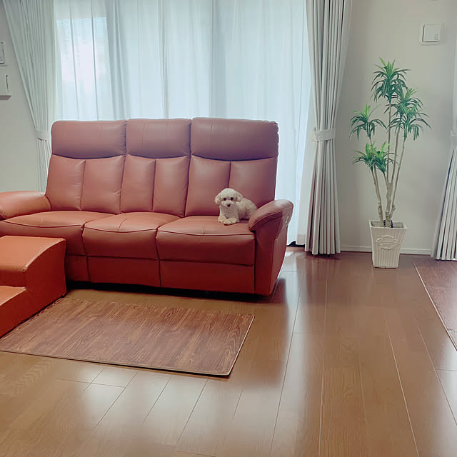 Kasumiさんの部屋