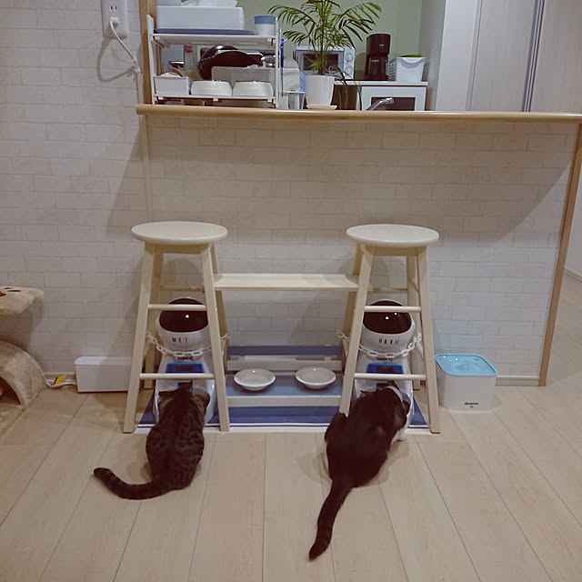 taka-kiさんの実例写真