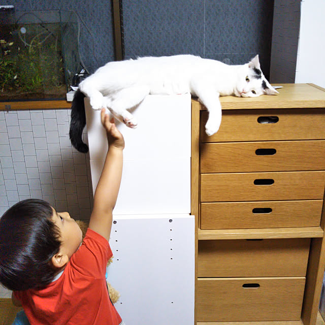 yukieさんの実例写真