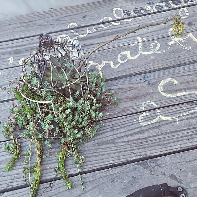 mocomocoさんの部屋