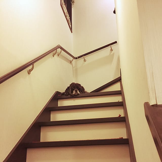 NaoKさんの実例写真