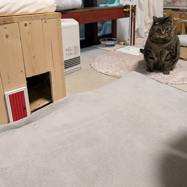 mori_6_12さんの部屋