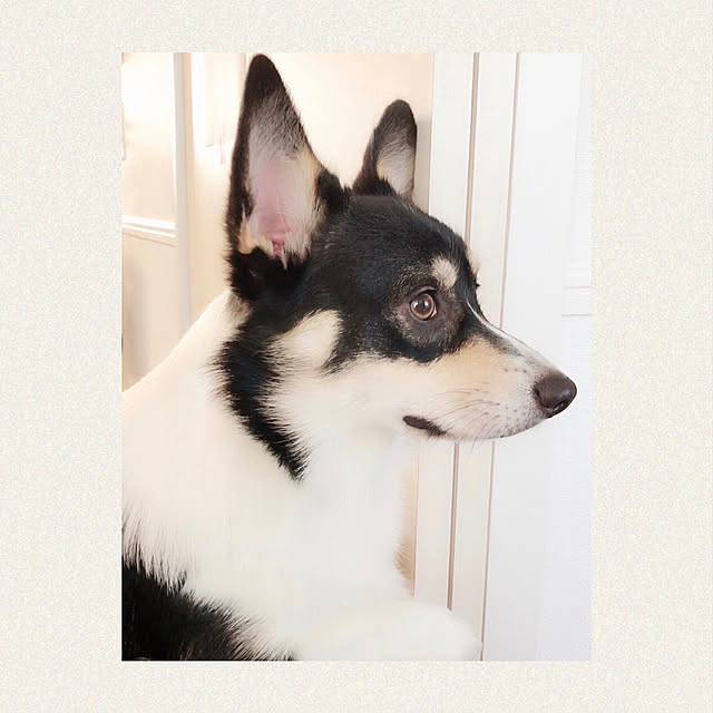Ruiさんの実例写真