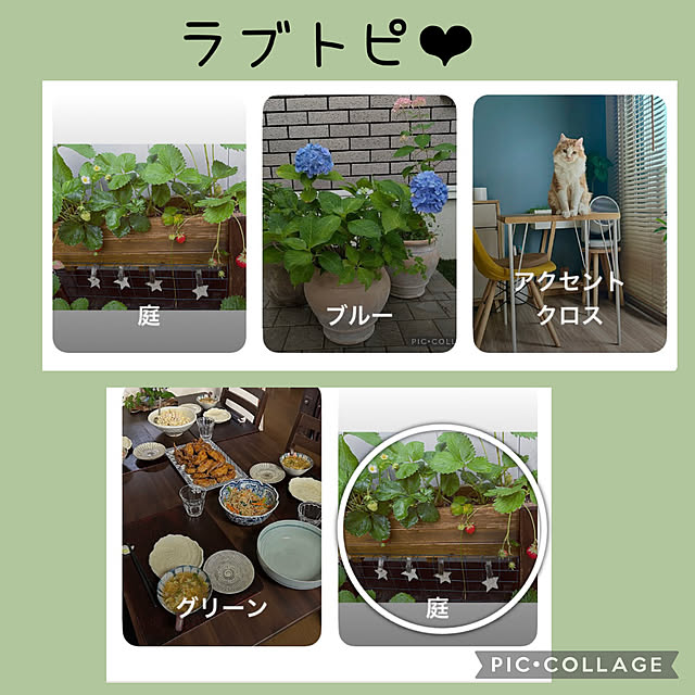 CoCo0617さんの実例写真