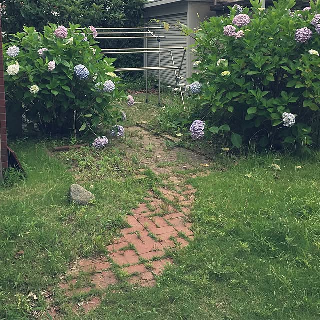 mohayaeteさんの実例写真