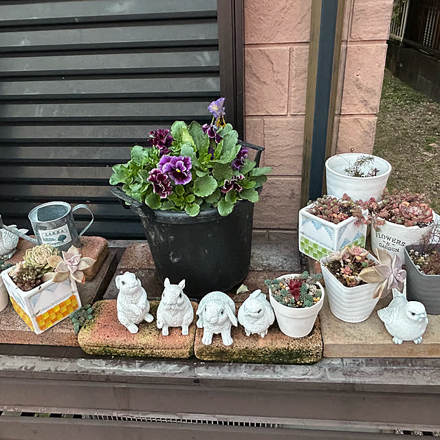 ritsukoさんの部屋