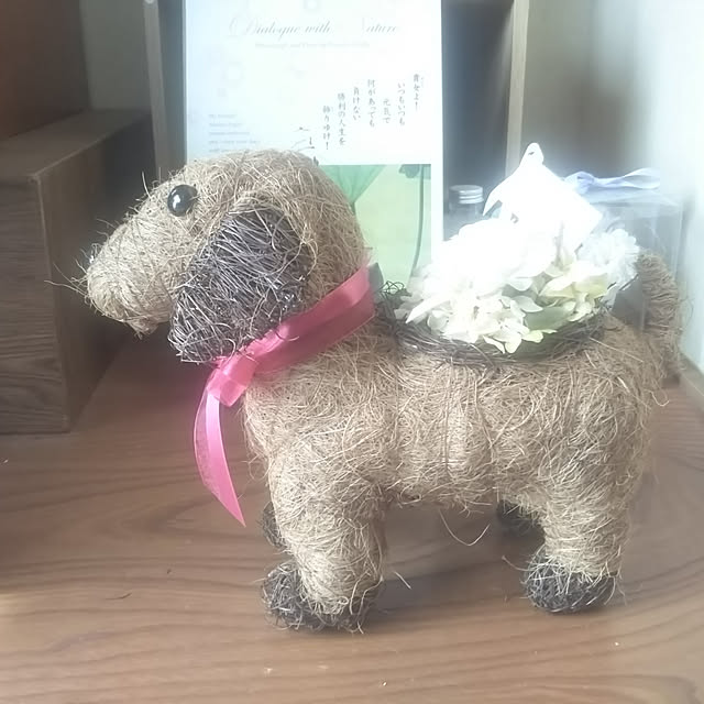 kiraさんの実例写真