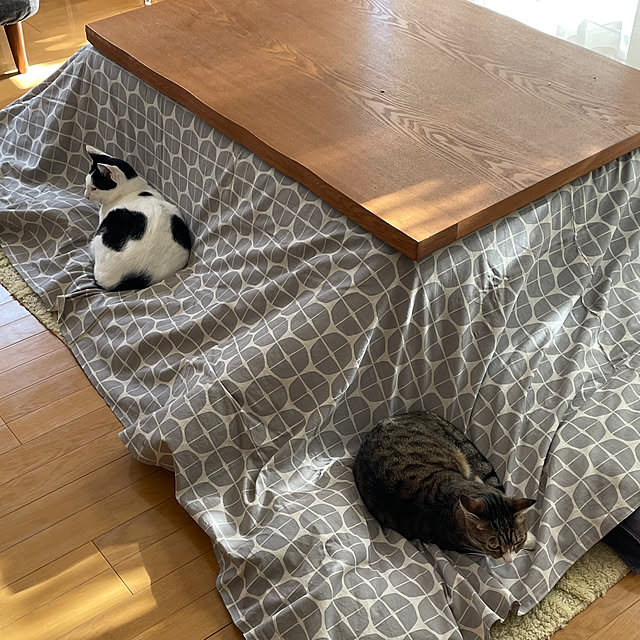 nobikoさんの部屋