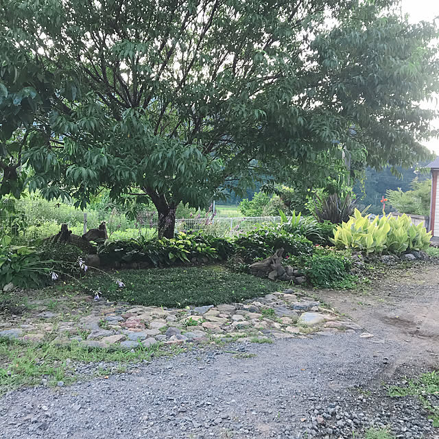 pepeさんの実例写真