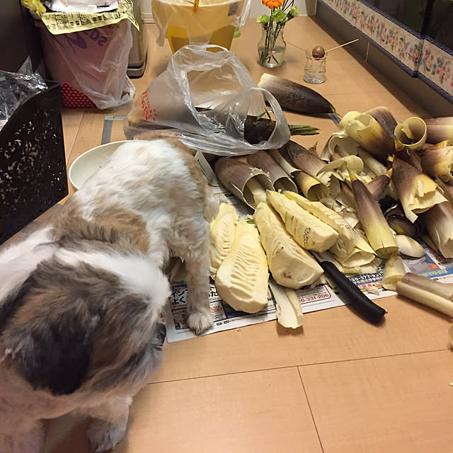 emiさんの実例写真