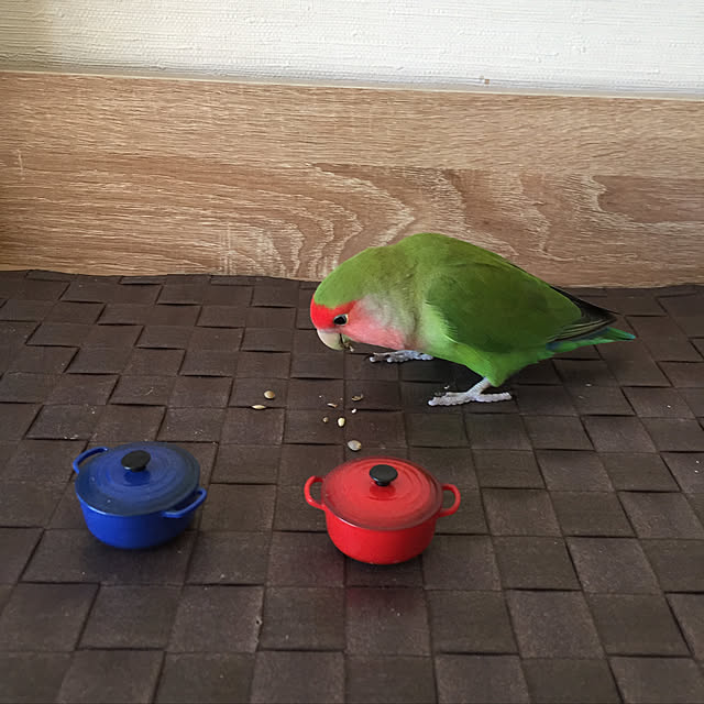toratanさんの実例写真