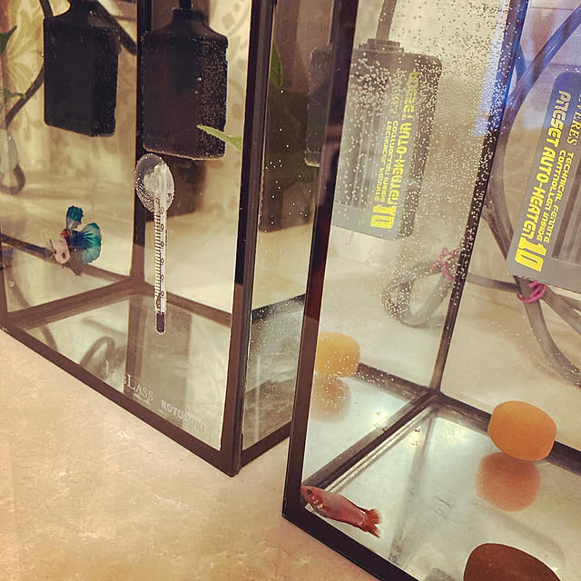 peco_travellerさんの実例写真