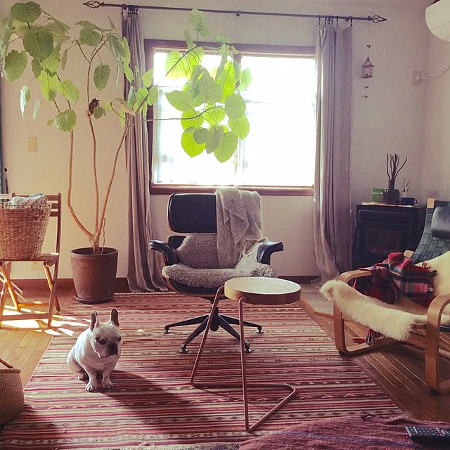 Fumikaさんの実例写真