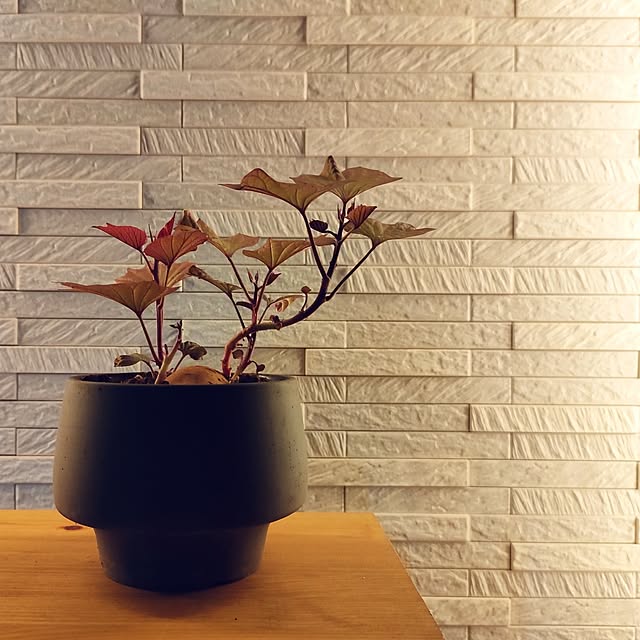 hana-さんの部屋