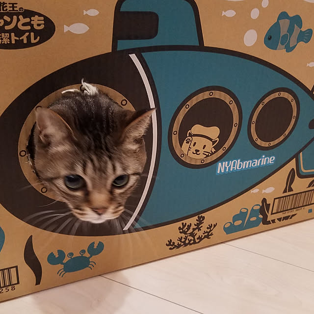 t-famさんの実例写真