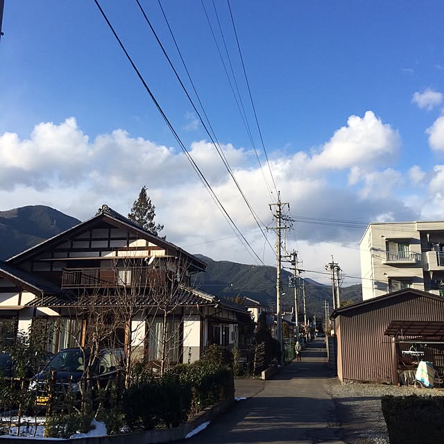 実例写真