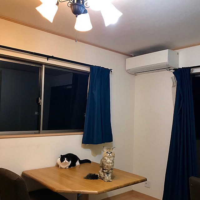 butachanさんの実例写真