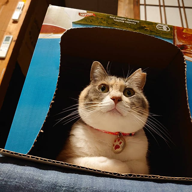 fukuさんの実例写真
