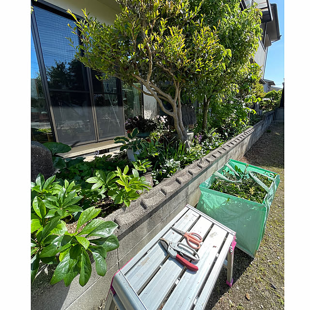 buchiさんの実例写真