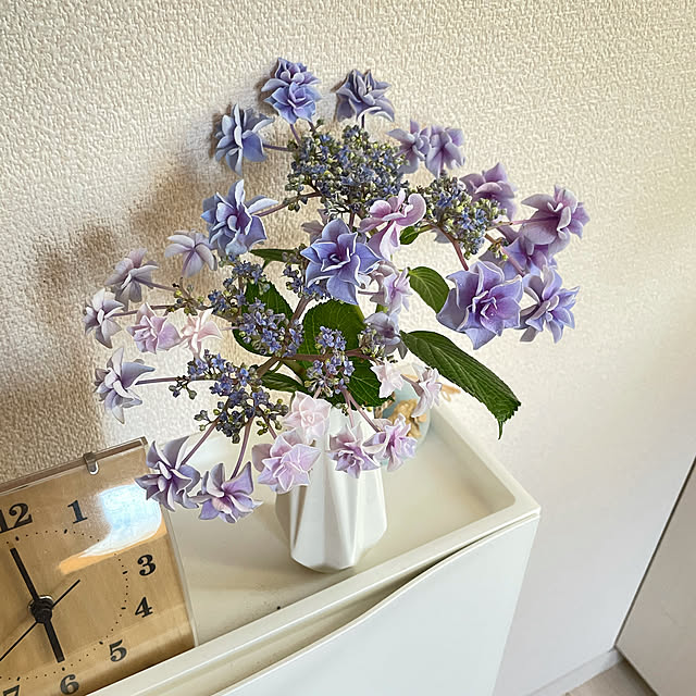 t-famさんの実例写真