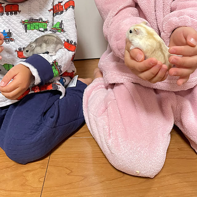 ogattiさんの実例写真