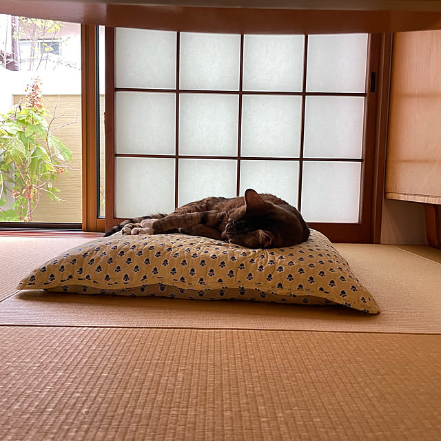 maruさんの実例写真