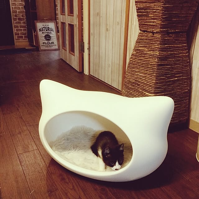 nodokaさんの実例写真