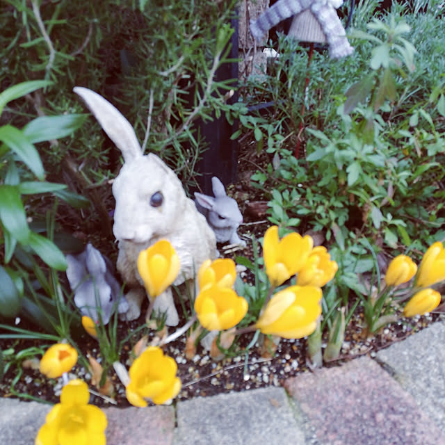 hiさんの実例写真