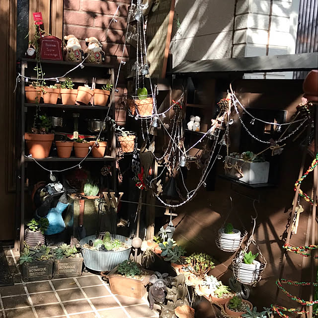 butachanさんの実例写真