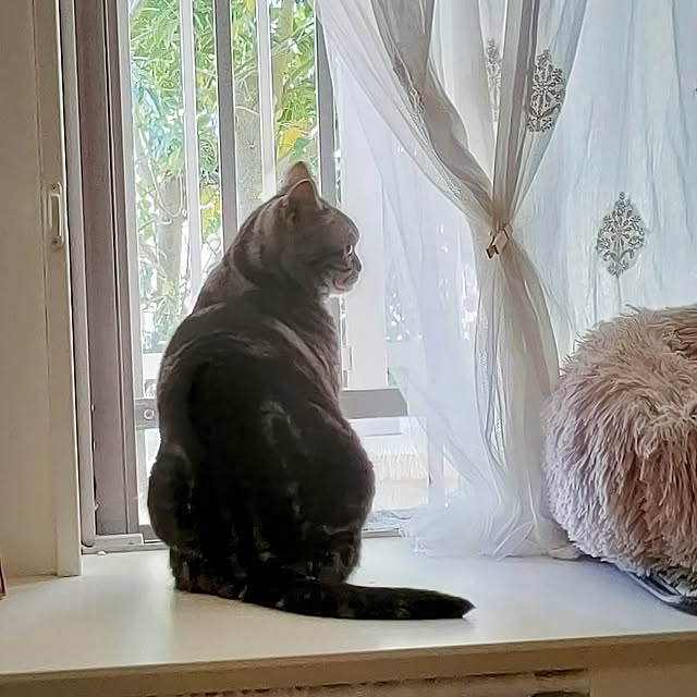 Yoko622さんの実例写真